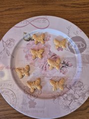 Psušenky motýlci